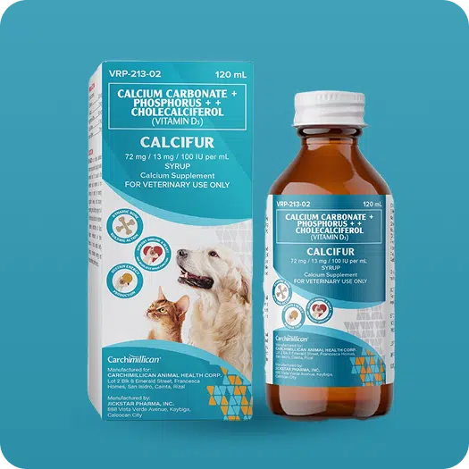 calcifur calcium supplement