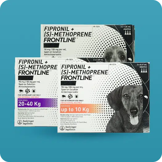 frontline spot-on for dogs philippines