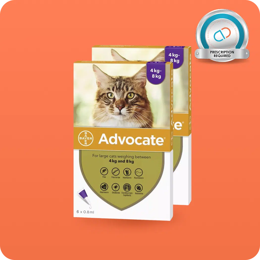 advocate spot-on for cats philippines