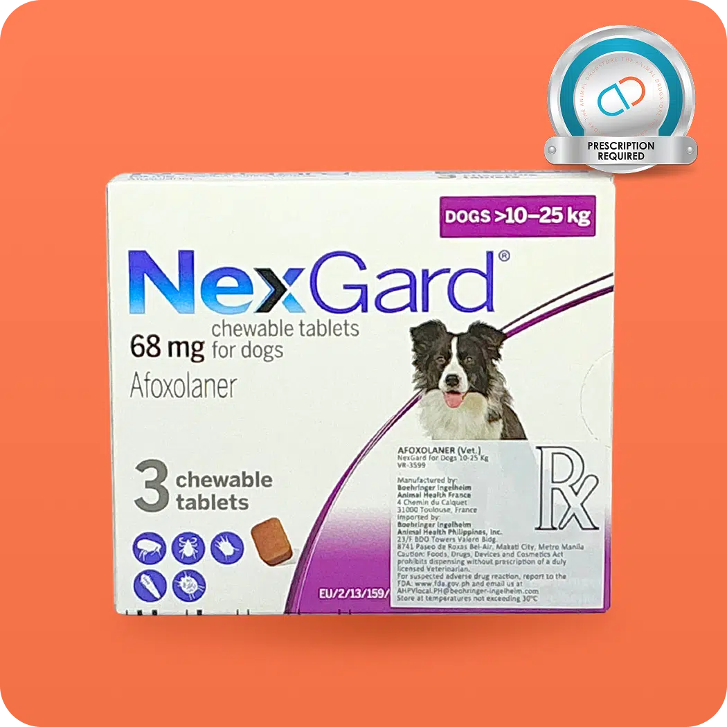 NexGard (dogs) - Image 4