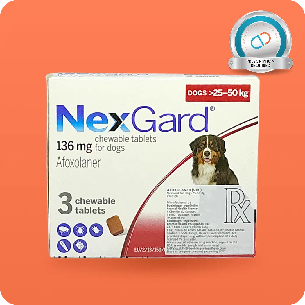 NexGard (dogs) - Image 3