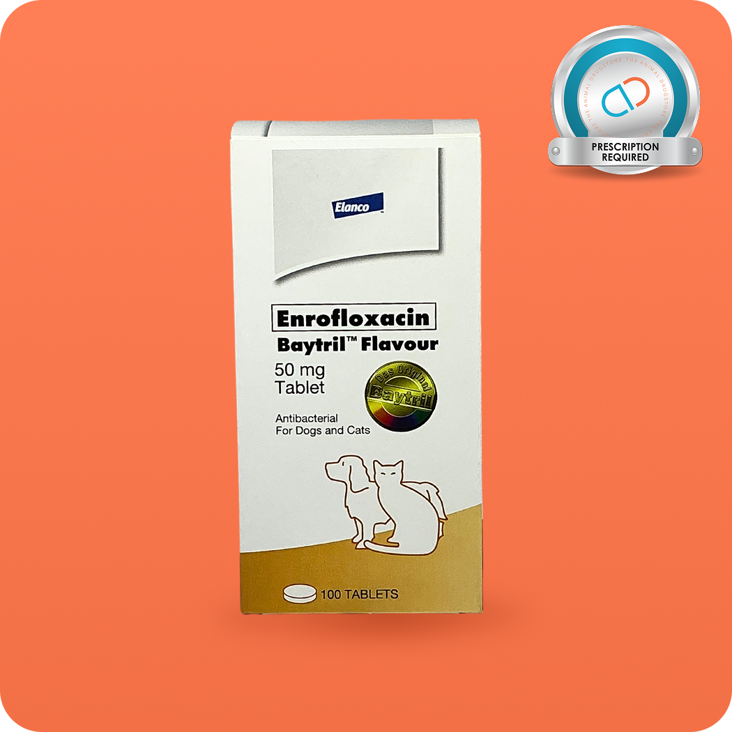 baytril antibiotic for pets