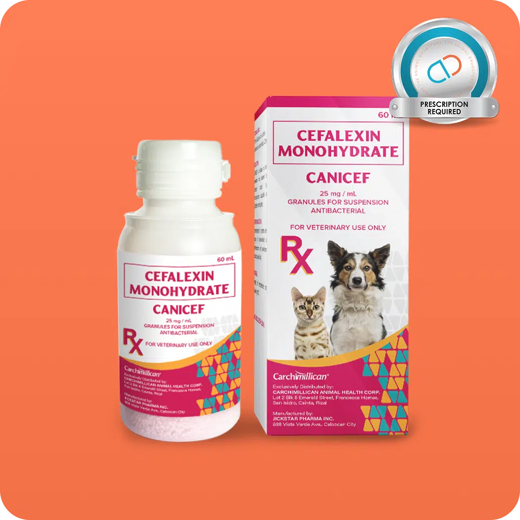 canicef cephalexin monohydrate pets