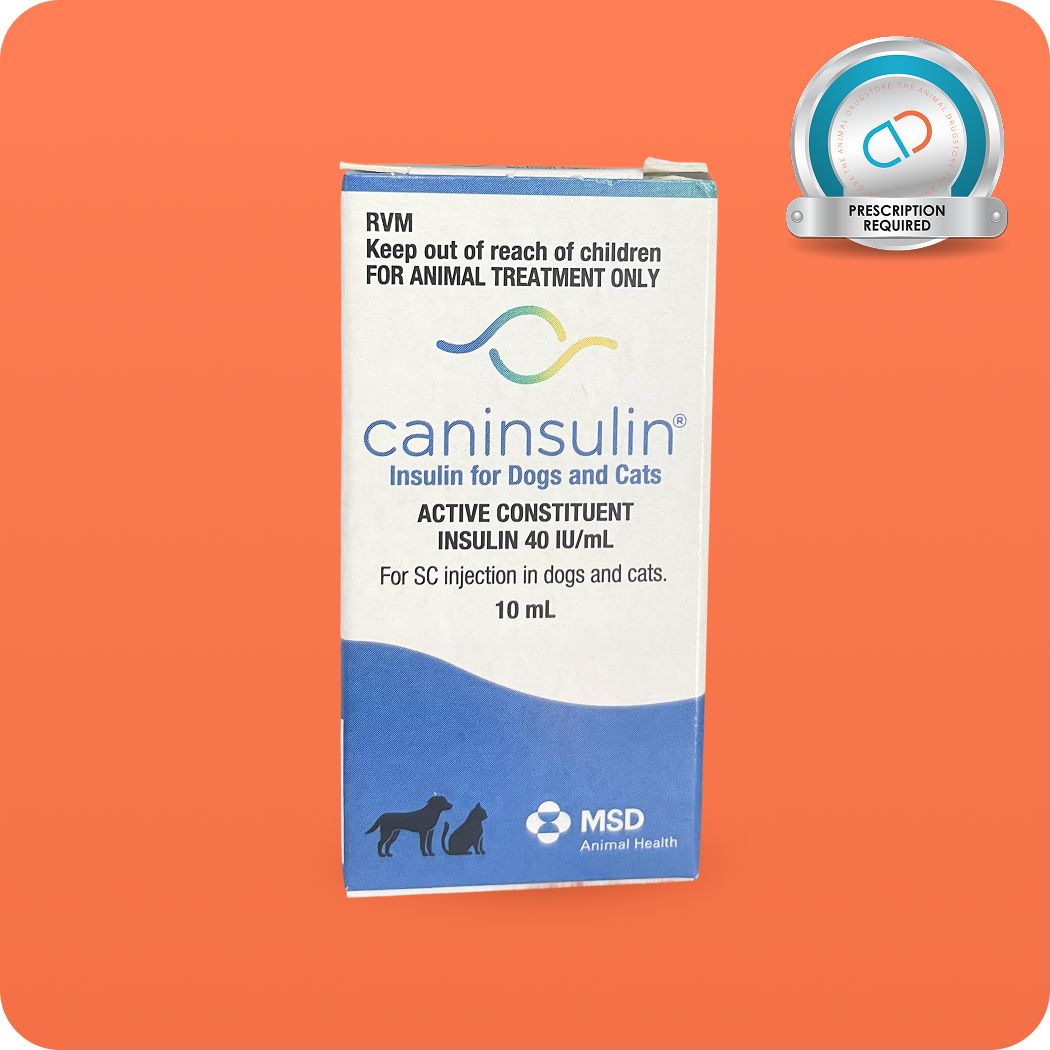 caninsulin pets diabetes treatment