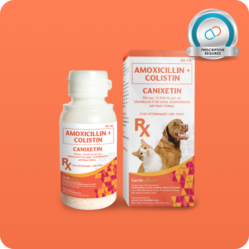 canixetin amoxicillin + colistin pets