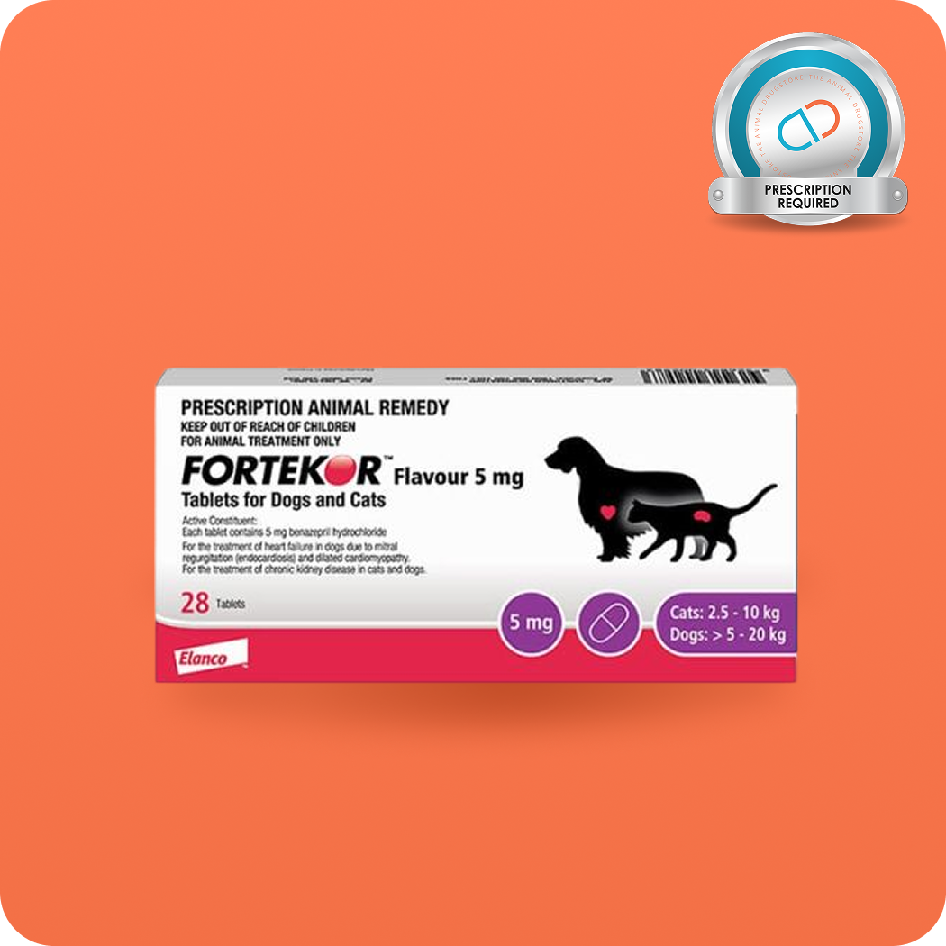 fortekor - heart and kidney