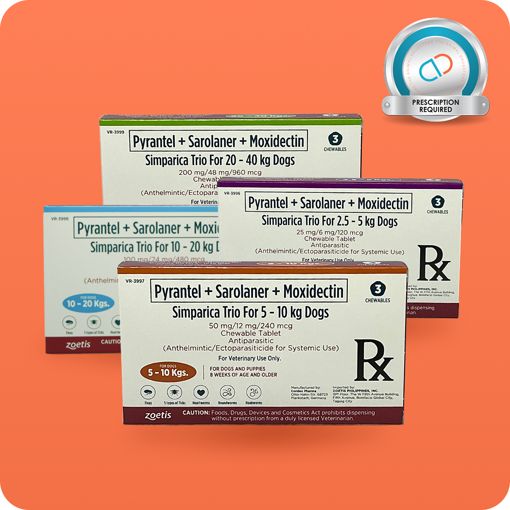 simparica trio chew dogs